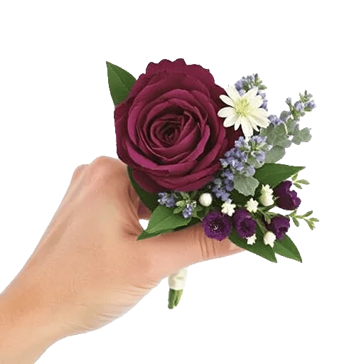 Plum Blossom Radiance