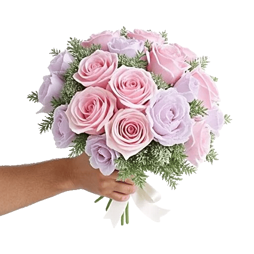 Pastel Pink Roses