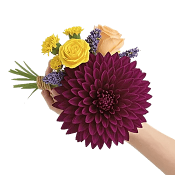 Crimson Blossom Harmony