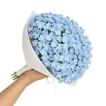 Blossom Petal Serenity