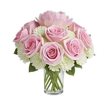 Petal Radiance Bliss