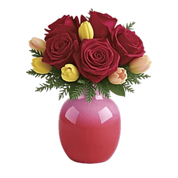 Crimson Rose Elegance