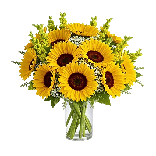 Radiant Bloom Cascade