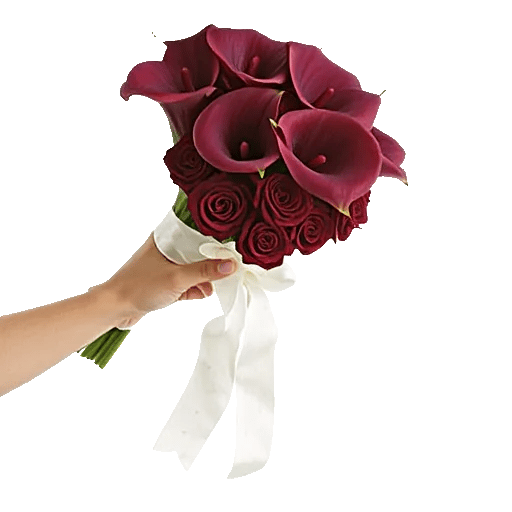 Elegant Calla Lilies