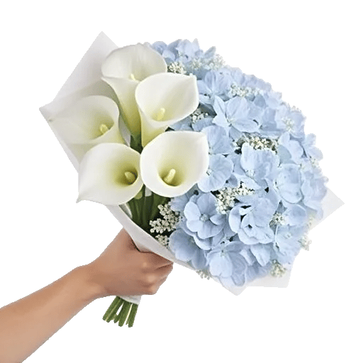 Elegant Calla Lilies