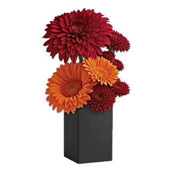 Crimson Blossom Harmony