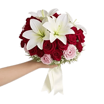 Delicate Petal Cascade