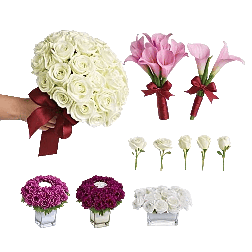 Elegant Calla Lilies