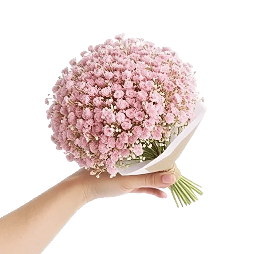 Blossom Radiant Whisper