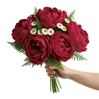Peony Petal Harmony