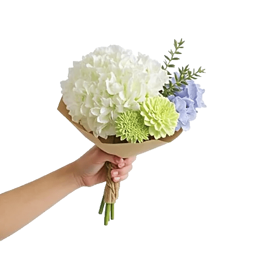 Serene Petal Harmony