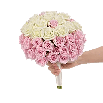 Delicate Petal Cascade