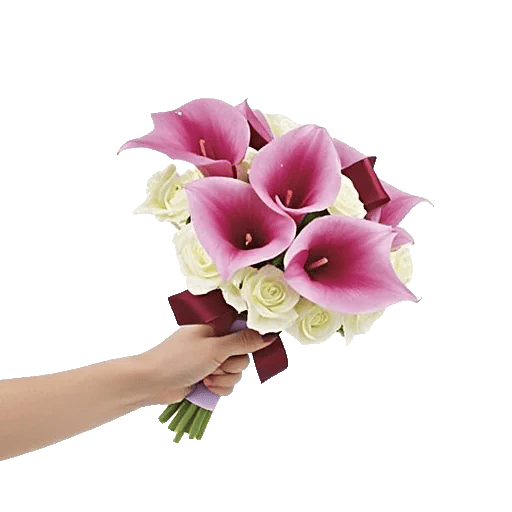 Elegant Calla Lilies