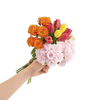 Vibrant Orange Delight