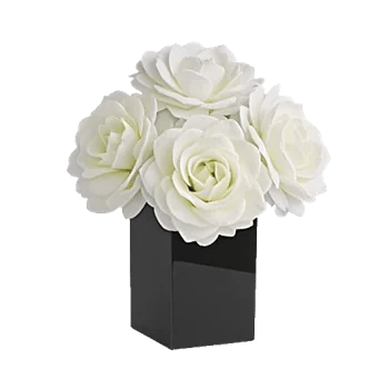 Modern White Orchids