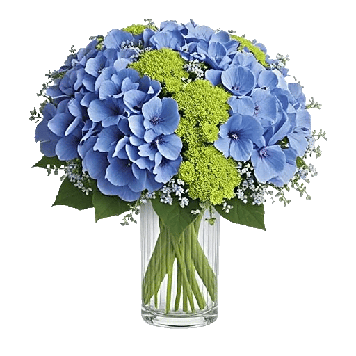 Sapphire Bloom Whisper