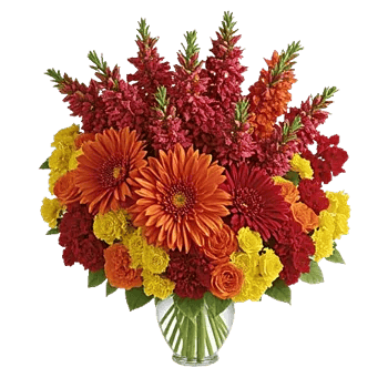 Radiant Bloom Cascade