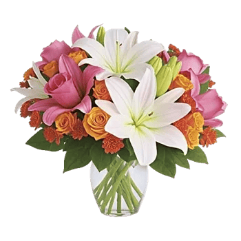 Graceful Lily Display