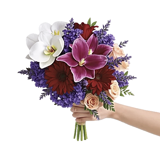 Modern White Orchids