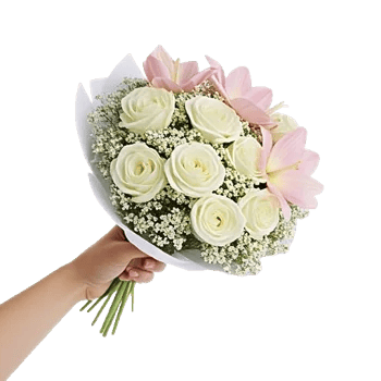 Blushing Rose Symphony