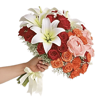 Ivory Blossom Radiance