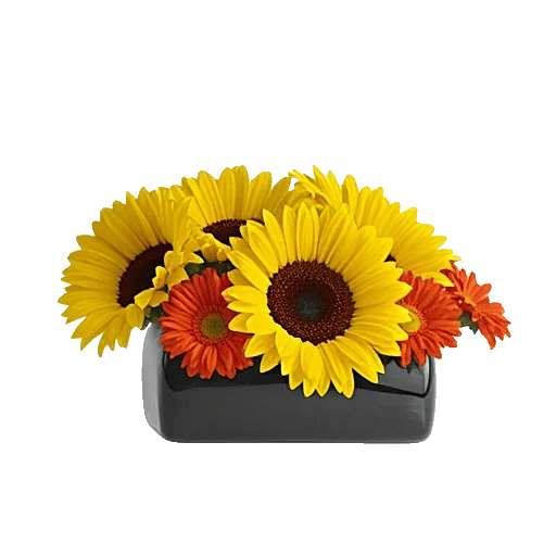 Amber Sunflower Glow