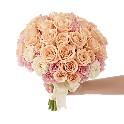 Peach Blossom Whisper