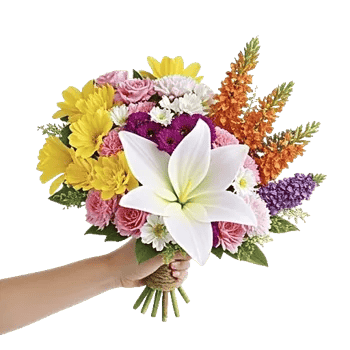 Blossom Harmony Display