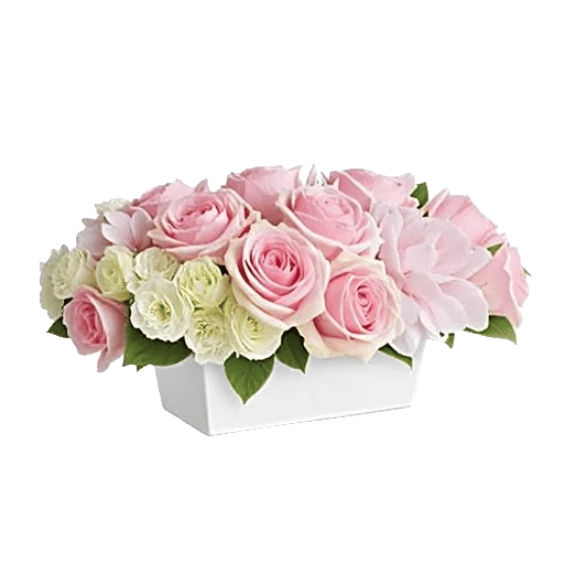 Delicate Petal Cascade