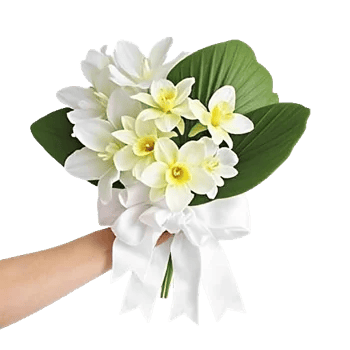 Modern White Orchids