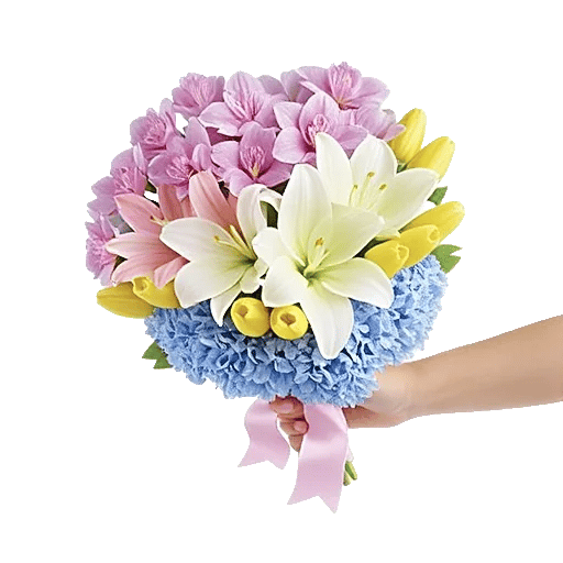Orchid Petal Glow