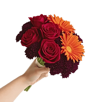 Crimson Rose Elegance