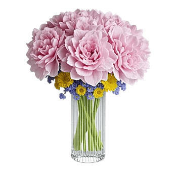 Ivory Blossom Radiance