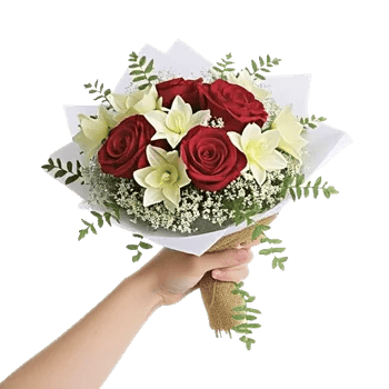 Crimson Rose Elegance