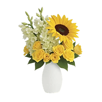 Radiant Bloom Cascade