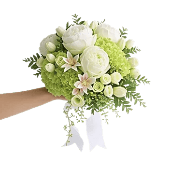 Ivory Blossom Radiance