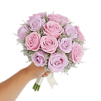 Pastel Pink Roses