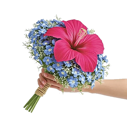 Blossom Petal Serenity