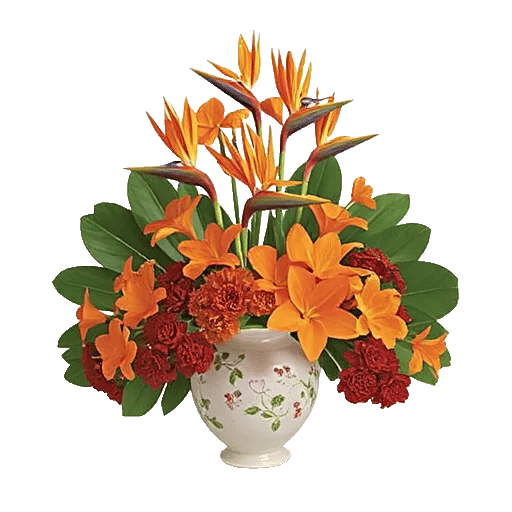 Tropical Sunflower Burst
