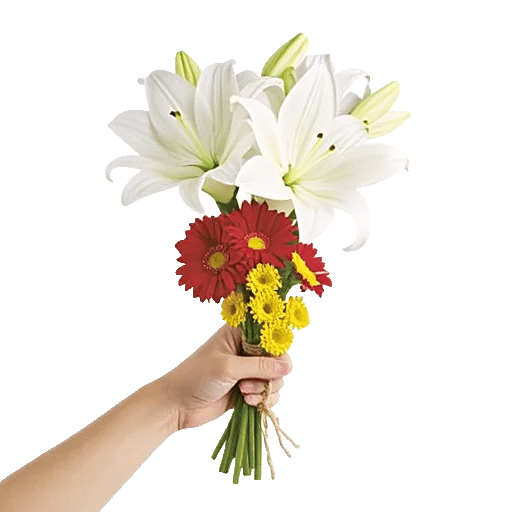 Graceful Lily Display