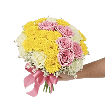 Petal Harmony Bliss