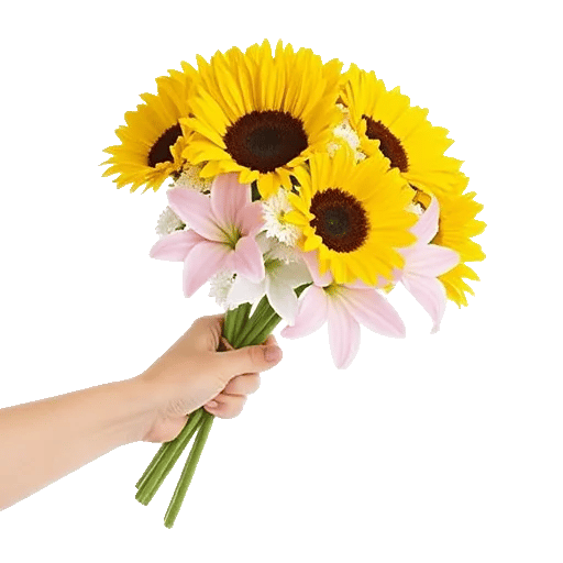 Twinkling Sunflower Dance