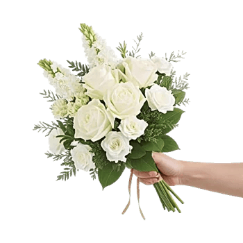 Ivory Garden Grace