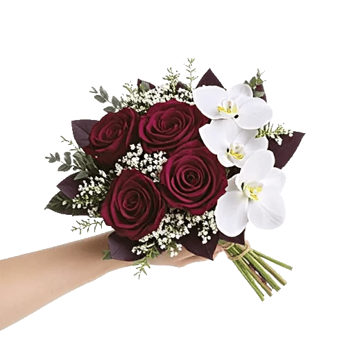 Petal Grace Harmony