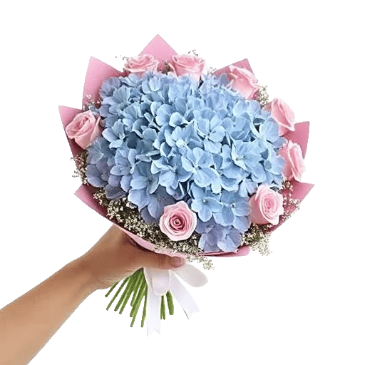 Serene Petal Harmony