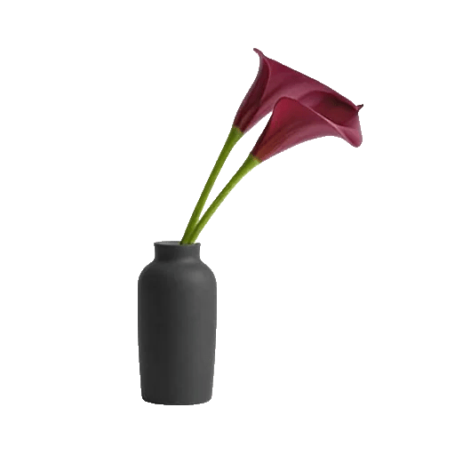 Elegant Calla Lilies