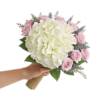 Serene Petal Harmony