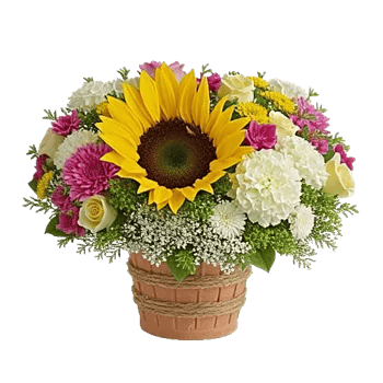 Amber Sunflower Glow