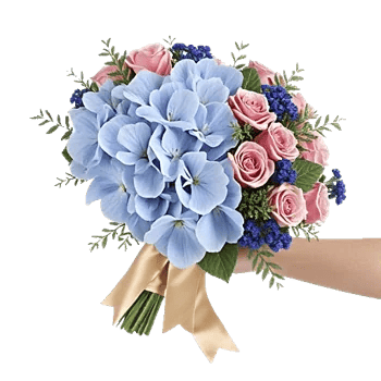 Sapphire Bloom Whisper
