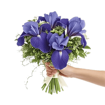 Ivory Blossom Radiance